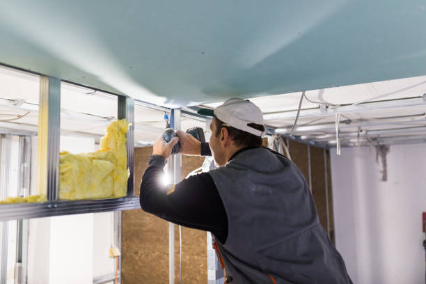 Best Spray Foam Insulation in Bellemont, AZ