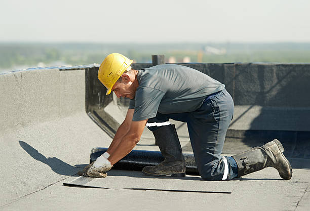 Best Eco-Friendly Insulation in Bellemont, AZ